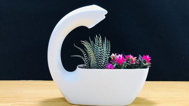 教你把用完的洗衣液空瓶做成一个花盆,简单轻松变废为宝!