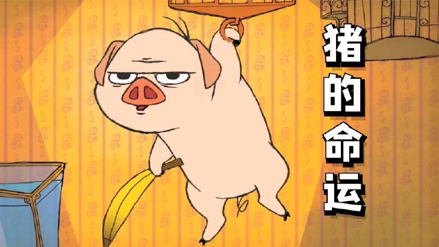 结局让人意外,这就是命!
