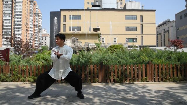 陈氏太极拳老架一路(任明明太极拳)