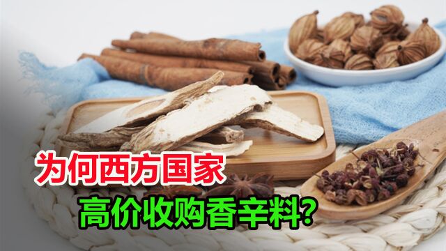 西方国家疯抢的香辛料是什么?它在西方的地位到底有多高?