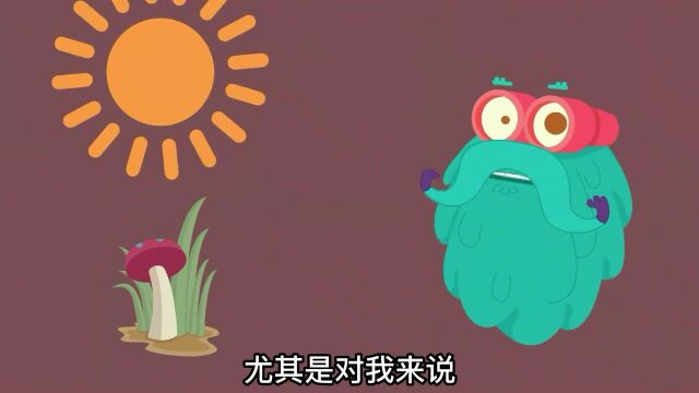 科普小知识:生态系统中的食物链