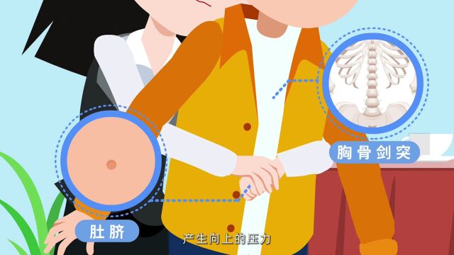 遇到动物咬伤,你该怎么办?这些急救知识你了解吗?【新时代健康科普作品征集大赛展播(6)】