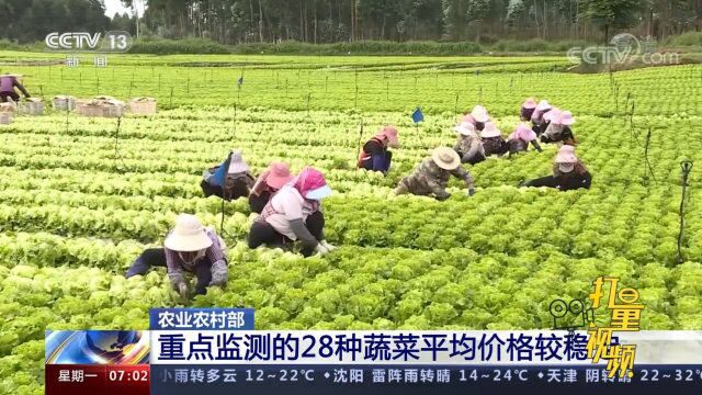 速看!农业农村部:重点监测的28种蔬菜平均价格较稳定