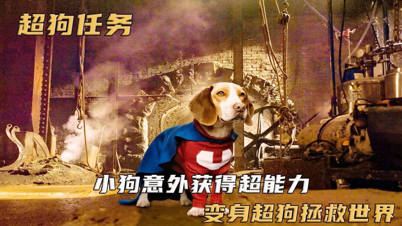 小狗意外获得超能力,变身超狗拯救世界