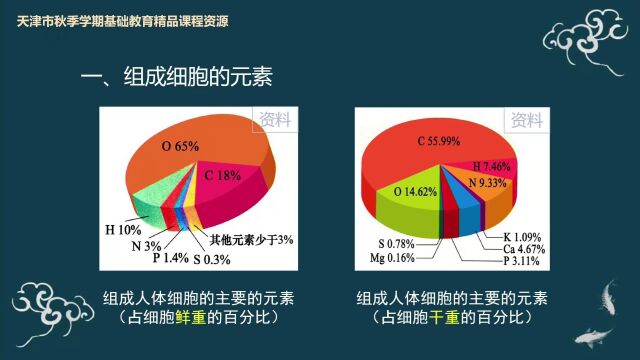 高三生物走进细胞、细胞中的元素和化合物复习天津市第二南开学校王瑛