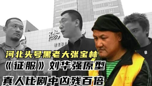 河北头号黑老大张宝林,《征服》刘华强原型,真人比剧中凶残百倍_高清1080P在线观看平台_腾讯视频
