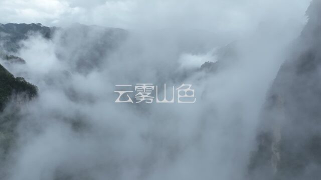 《云雾山色》 米仓山位于秦岭和大巴山过渡区域,海拔2507米的光雾山为主峰.奇峰挺立,峡谷幽深;峰峦互重掩,云雾自吞吐,四季皆景.