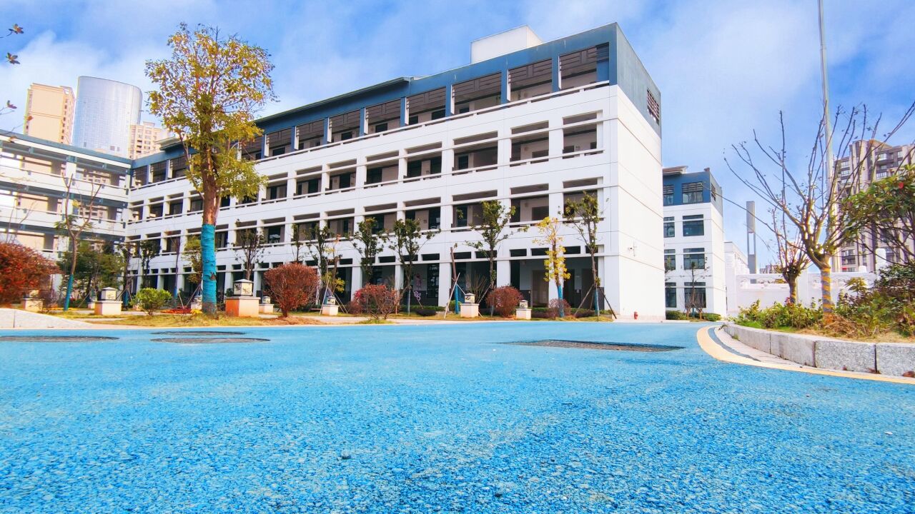 南师附小九龙湖校区