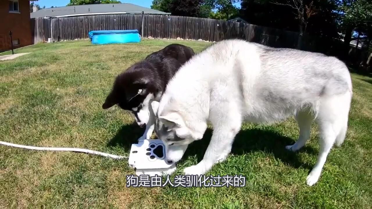 同一个方向，坐火车的人看到骑机车的人是什么感受？_高清1080P在线观看平台_腾讯视频