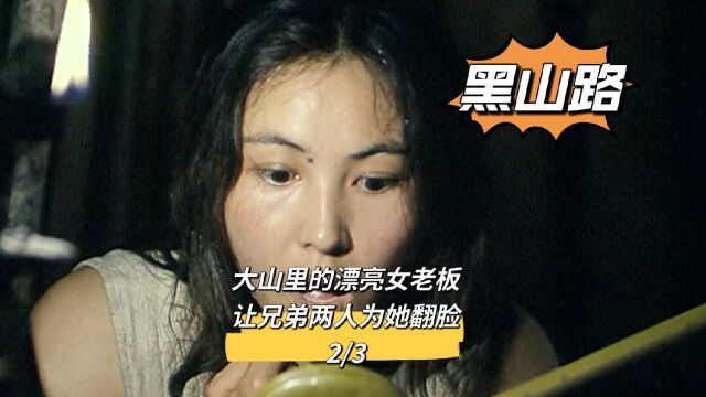 深山里的漂亮女老板,被兄弟两人同时看上,两人为她反目成仇