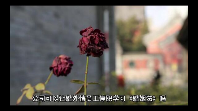 公司可以强制婚外情员工停职学习婚姻法吗?拉萨律师刘旭西藏律师刘旭