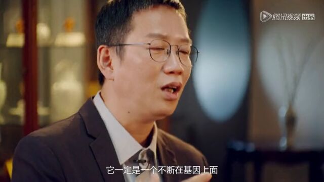 《新国货》EP01高光片段