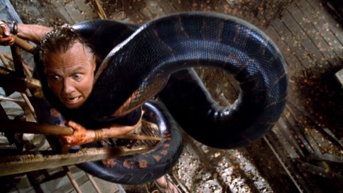 90后童年阴影猛片《狂蟒之灾》几个胆大的年轻人，误闯亚马逊河流