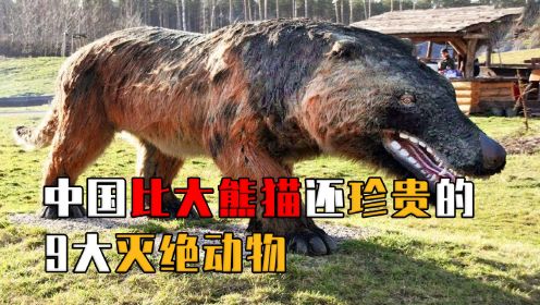 中国9大已灭绝动物，部分仅剩影像资料，他们灭绝带来什么警示？ 