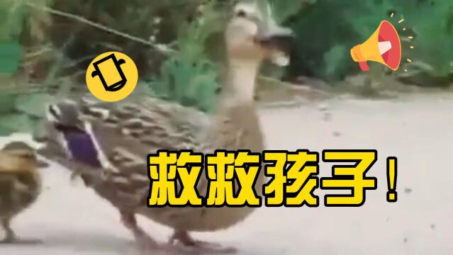 救救孩子!𐟘ƒ