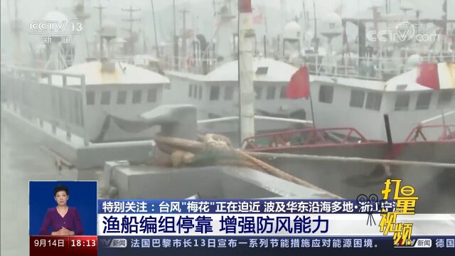 浙江宁波:应对台风“梅花”,渔船全部在港避险