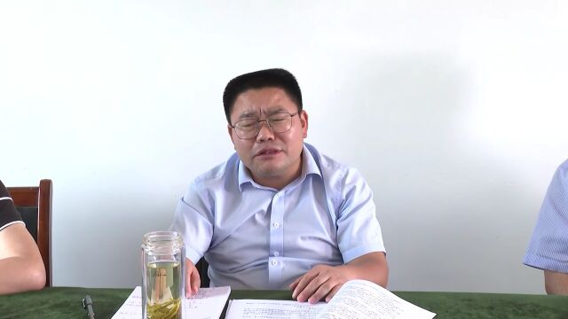 【视频】9月13日枞阳新闻:杨秀颀调研上码头古城建设工作