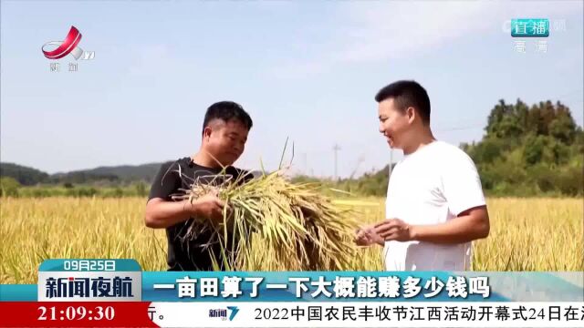 【又是一年丰收季】分宜:中稻开镰 订单种植促增收