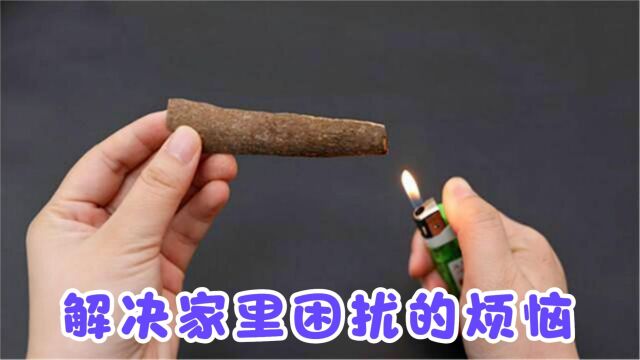 桂皮放火上烧一烧,解决每家每户的麻烦,省钱还实用,快回家试试