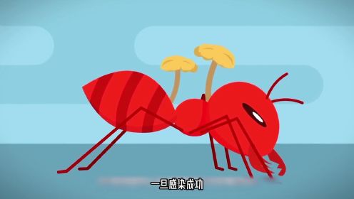 【动漫动画】假如蚂蚁变成僵尸蚂蚁会怎样？