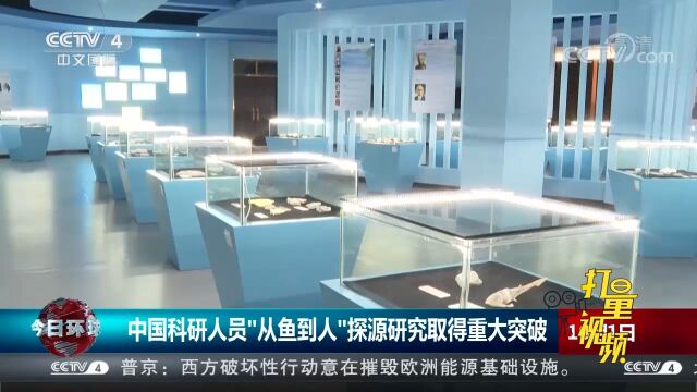 中国科研人员“从鱼到人”探源研究取得重大突破