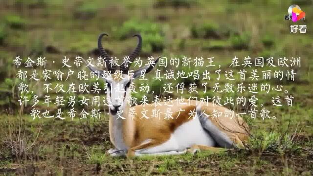 奥斯卡最佳影片《走出非洲》主题曲,红遍海内外征服无数歌迷的心