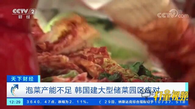 泡菜产能不足,韩国建大型储菜园区应对