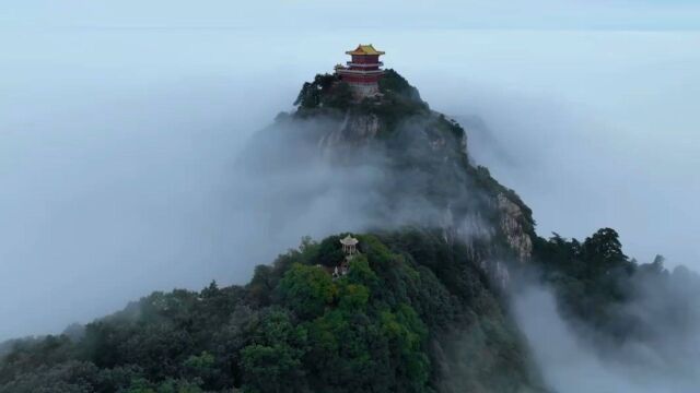 分享美景!秦岭雨后现壮美云海