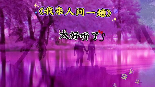 《我来人间一趟》伤感歌曲