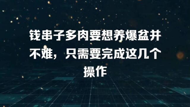 钱串子多肉要想养爆盆并不难,只需要完成这几个操作