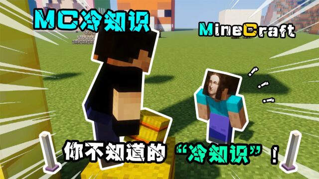 我的世界:MC冷知识,这么多冷知识一定有你不知道的