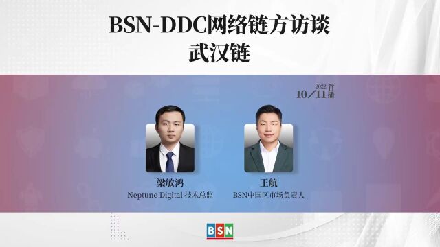 BSNDDC网络链方访谈之武汉链