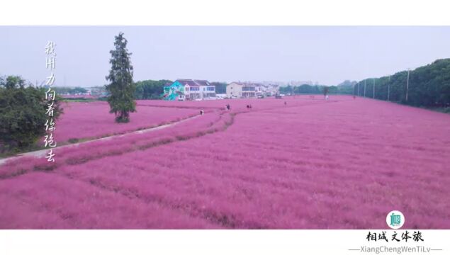 旅游 | 绝了,去冯梦龙村看花!