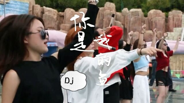 Dj舞曲《你是我的鱼》