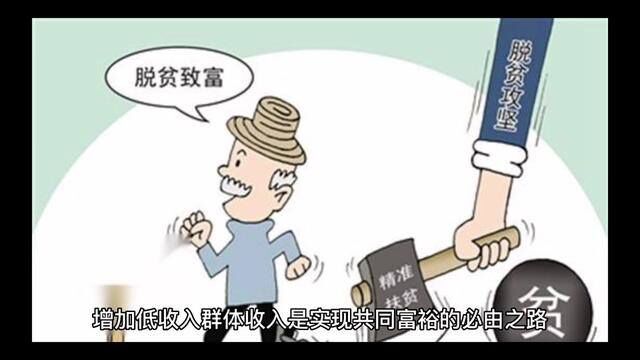 增加低收入群体收入:把农民收入纳入最低保障体系监测范围