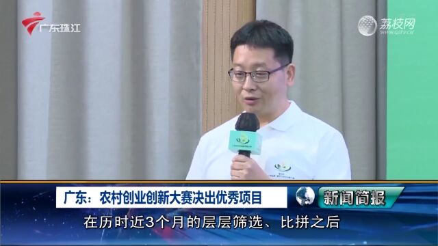 广东:农村创业创新大赛决出优秀项目