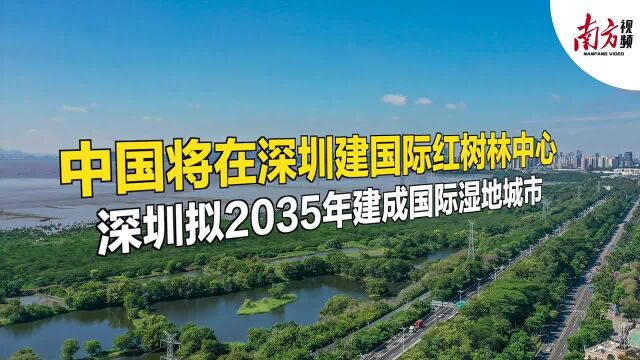 南方视频 | 深圳“国际红树林中心”究竟有多美?超美航拍带你开眼界