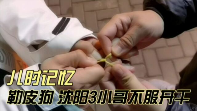 儿时记忆“勒皮狗”,沈阳3位小哥一言不和,路边开干