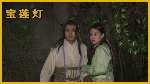 宝莲灯:舒畅错失仙剑一,新加坡四美演绿茶女,没想到还是剧抛脸