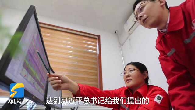 深入学习宣传贯彻党的二十大精神|牛栓文:既要绿色低碳又要能源安全 为保障国家能源安全再立新功