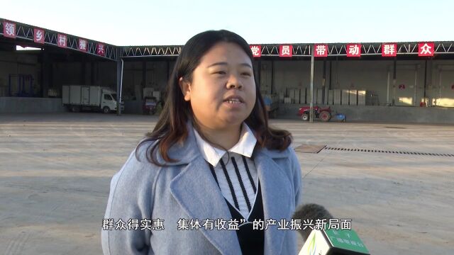 【记者一线行】南漳镇酒村:党建引领谋发展 党员带头兴产业