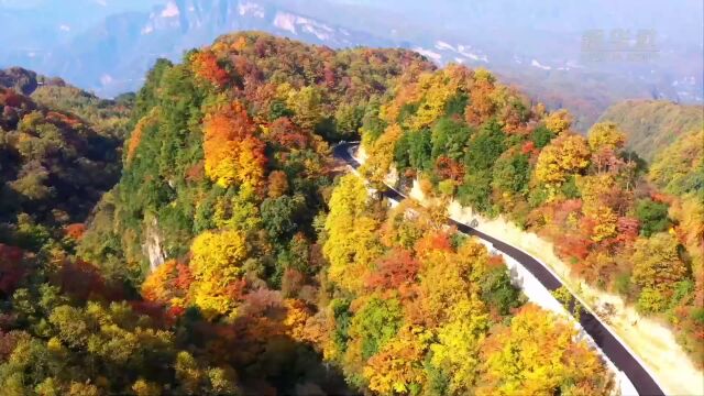 千城胜景|四川旺苍:盐井河大峡谷层林尽染