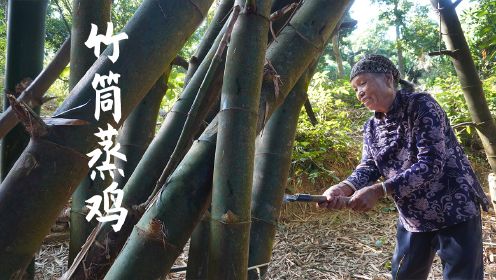 竹子也能做吃的？阿婆用新鲜竹筒搭配土鸡蒸煮，味道竹香四溢