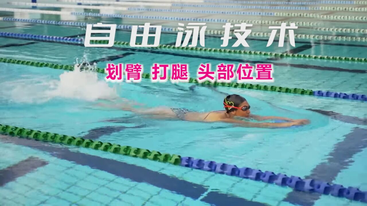 自由泳技术要点|手臂动作、腿部动作和头部位置_高清1080P在线观看平台_腾讯视频