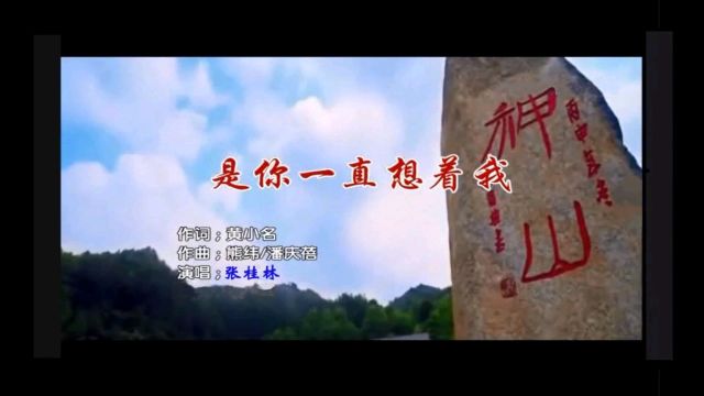 《是你一直想着我》张桂林 演唱