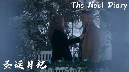 圣诞日记The Noel Diary