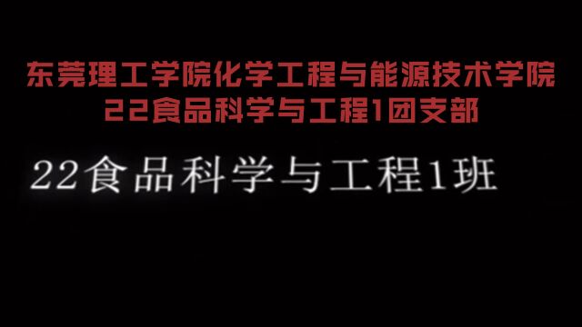 东莞理工学院化学工程与能源技术学院22食品科学与工程1团支部团日活动