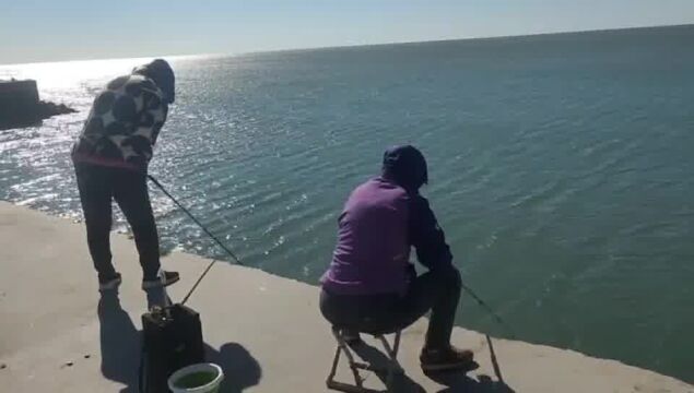 海钓爱好者冬天码头集合 海钓路亚鲈鱼黑头鱼 各种海杆整装待发