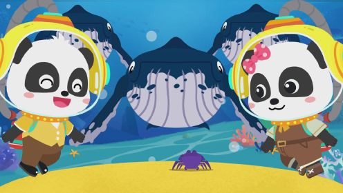 第115集 神奇的海洋：奇怪的泡泡漩涡