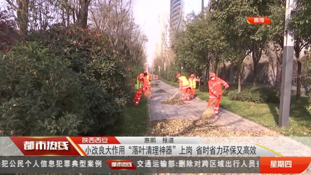 陕西西安:小改良大作用“落叶清理神器”上岗 省时省力环保又高效